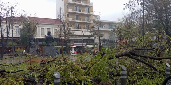 Χανιά: Προβλήματα στο οδικό δίκτυο και πτώσεις δέντρων από την κακοκαιρία - Ειδήσεις Pancreta